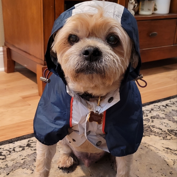 ❤️ Host Pick ❤️ Lightweight Dog Hooded Rain Jacket M - Picture 5 of 16